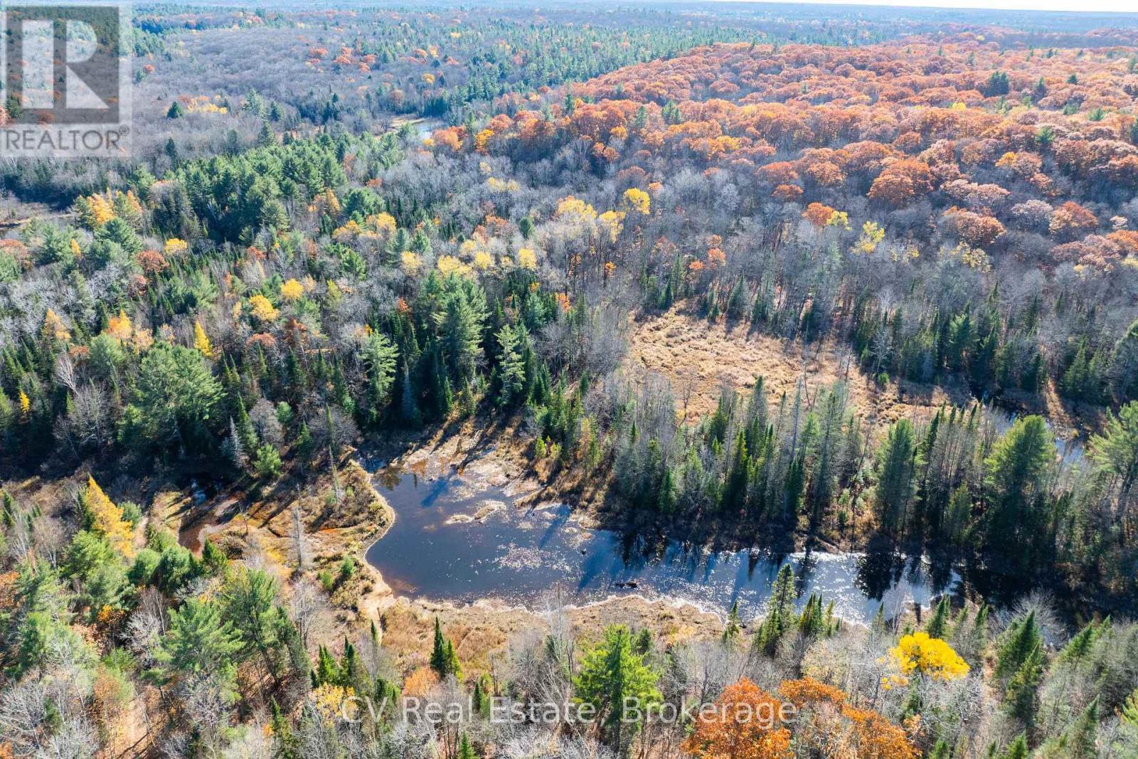 0 Fairy Falls Road, Lake Of Bays, Ontario  P0B 1A0 - Photo 22 - X13093016