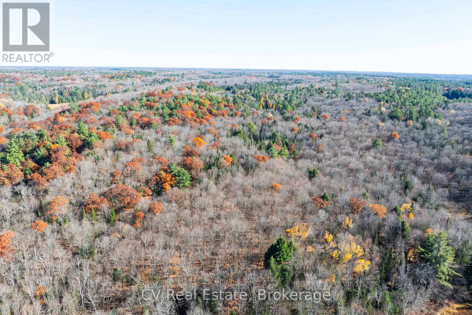 0 Fairy Falls Road, Lake Of Bays, Ontario  P0B 1A0 - Photo 28 - X13093016