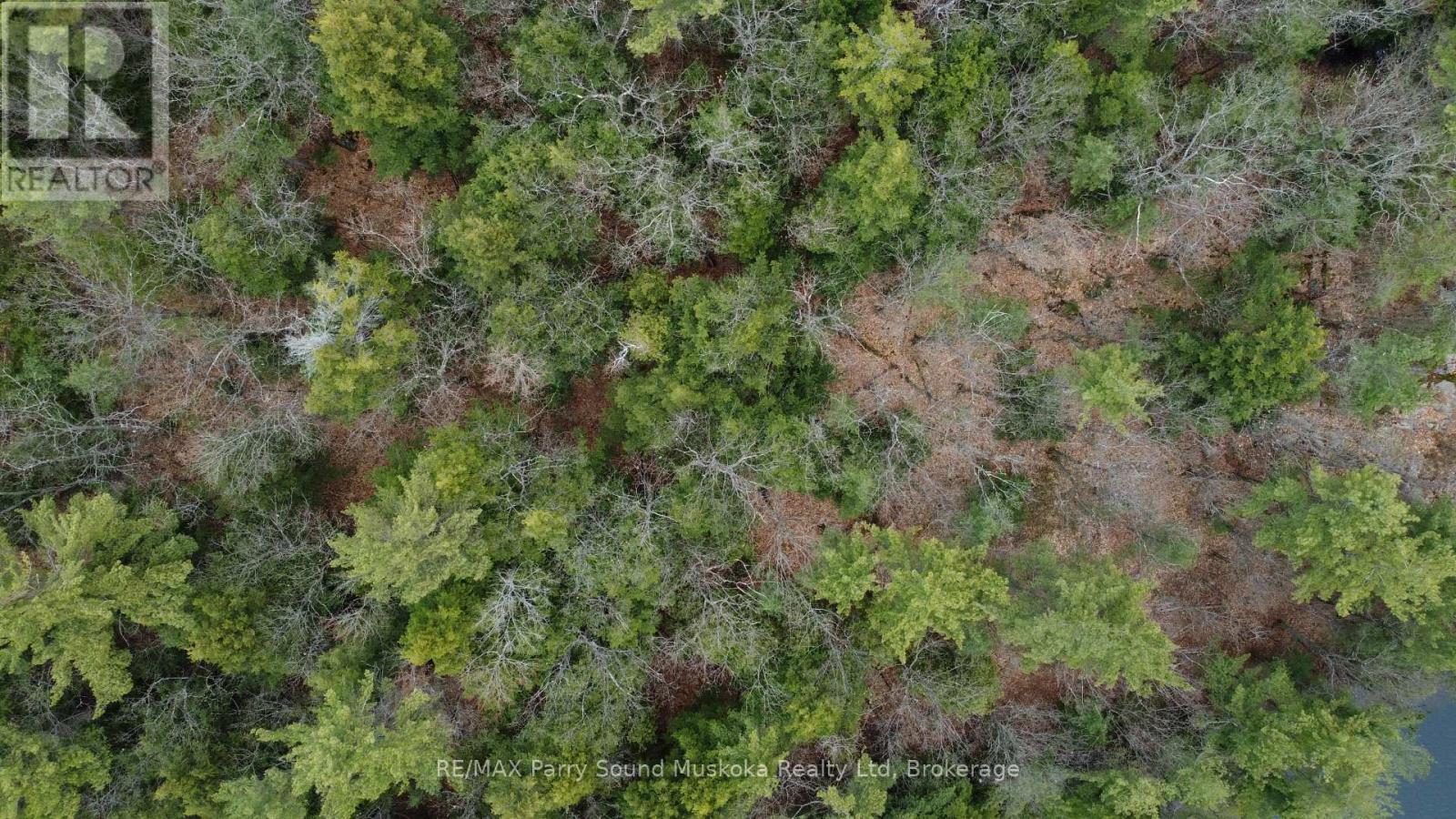 4 Wee Gee Wa Road, Seguin, Ontario  P2A 0E8 - Photo 15 - X13094454