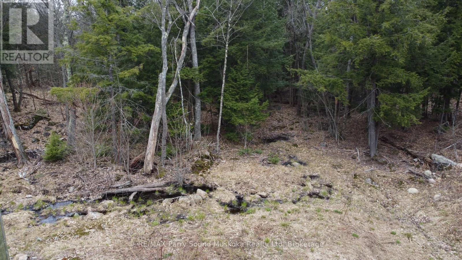 4 Wee Gee Wa Road, Seguin, Ontario  P2A 0E8 - Photo 17 - X13094454