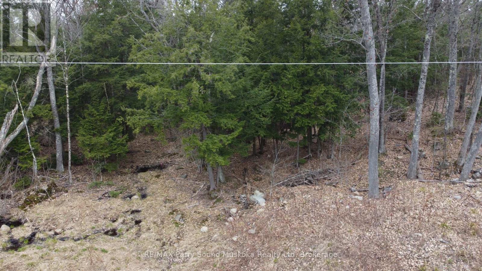 4 Wee Gee Wa Road, Seguin, Ontario  P2A 0E8 - Photo 18 - X13094454