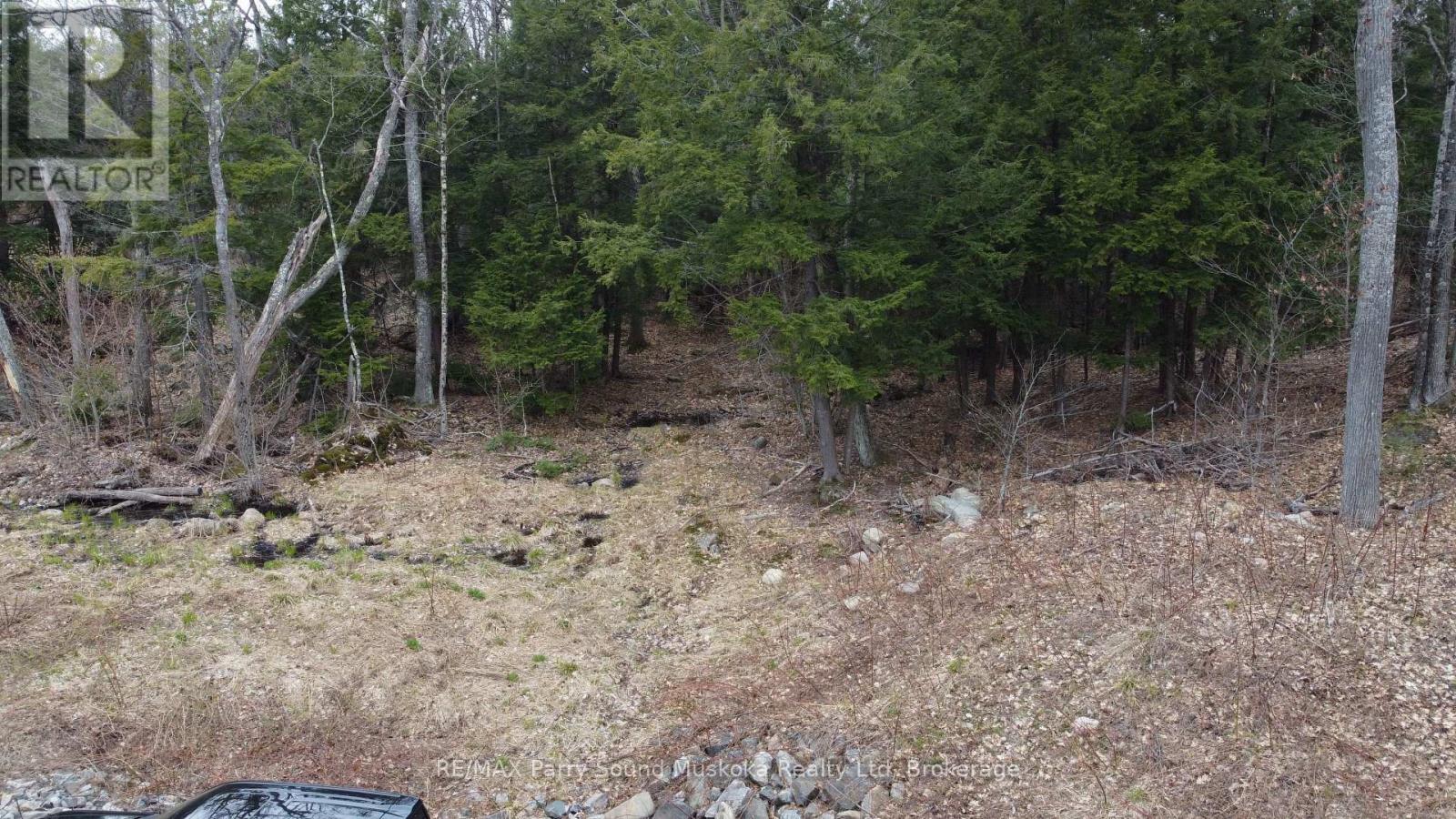 4 Wee Gee Wa Road, Seguin, Ontario  P2A 0E8 - Photo 19 - X13094454