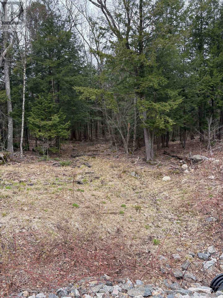 4 Wee Gee Wa Road, Seguin, Ontario  P2A 0E8 - Photo 20 - X13094454