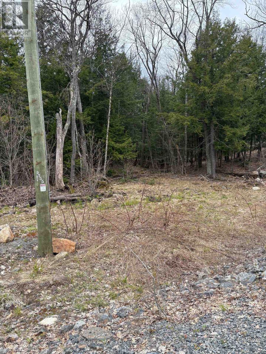 4 Wee Gee Wa Road, Seguin, Ontario  P2A 0E8 - Photo 21 - X13094454