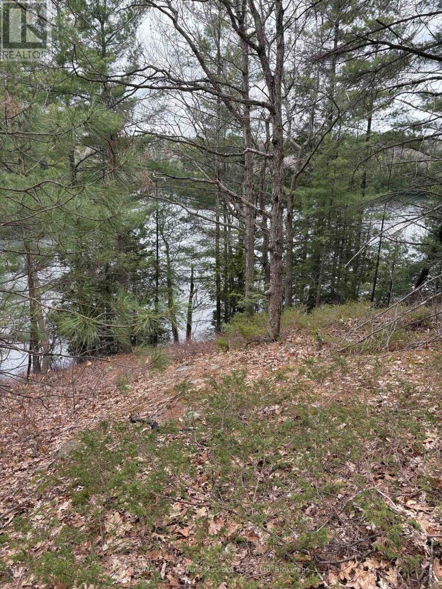 4 Wee Gee Wa Road, Seguin, Ontario  P2A 0E8 - Photo 22 - X13094454