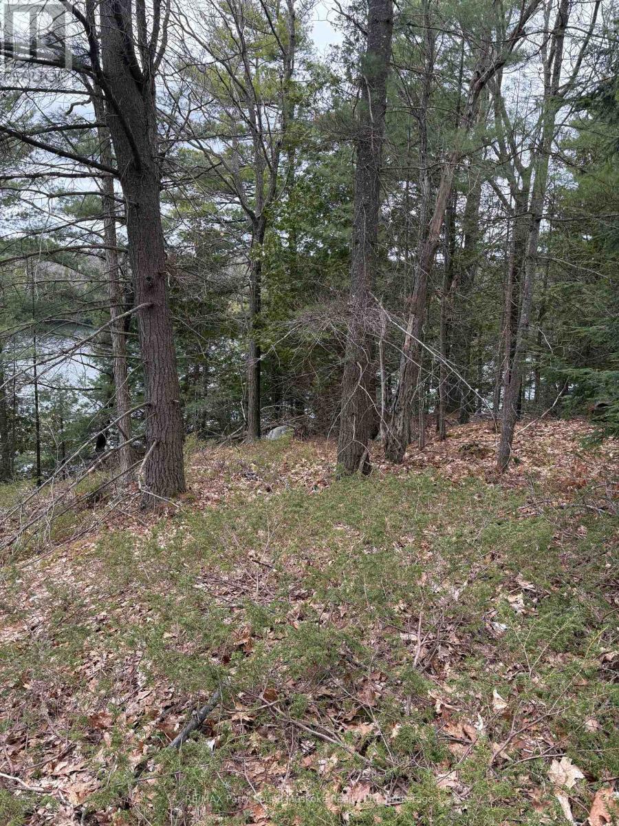 4 Wee Gee Wa Road, Seguin, Ontario  P2A 0E8 - Photo 23 - X13094454
