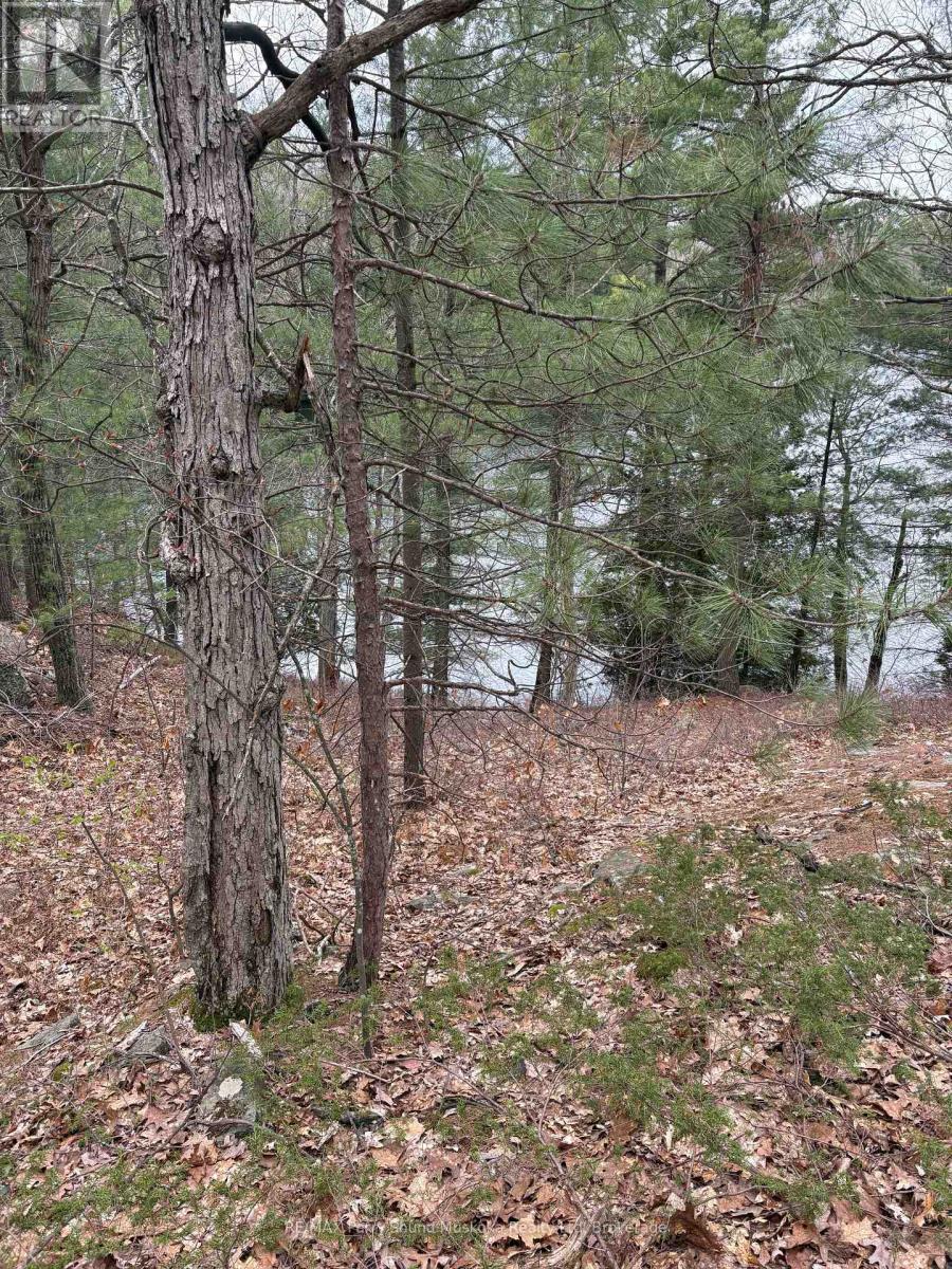 4 Wee Gee Wa Road, Seguin, Ontario  P2A 0E8 - Photo 24 - X13094454