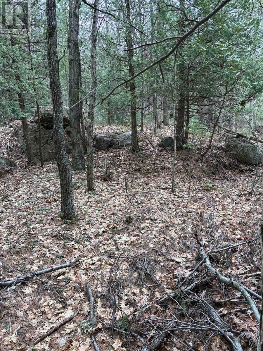 4 Wee Gee Wa Road, Seguin, Ontario  P2A 0E8 - Photo 25 - X13094454