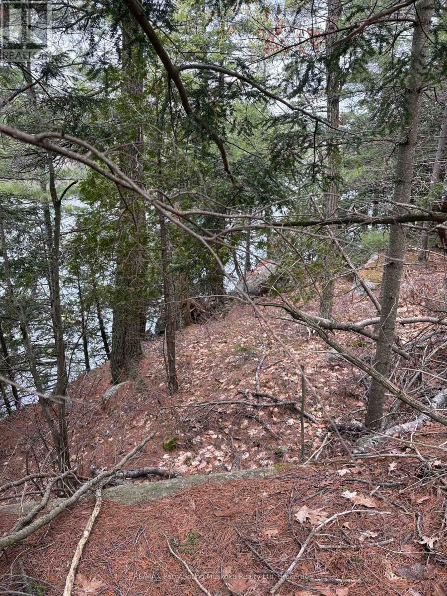 4 Wee Gee Wa Road, Seguin, Ontario  P2A 0E8 - Photo 27 - X13094454