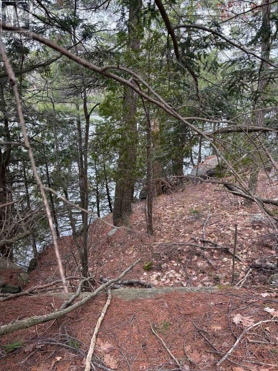4 Wee Gee Wa Road, Seguin, Ontario  P2A 0E8 - Photo 28 - X13094454