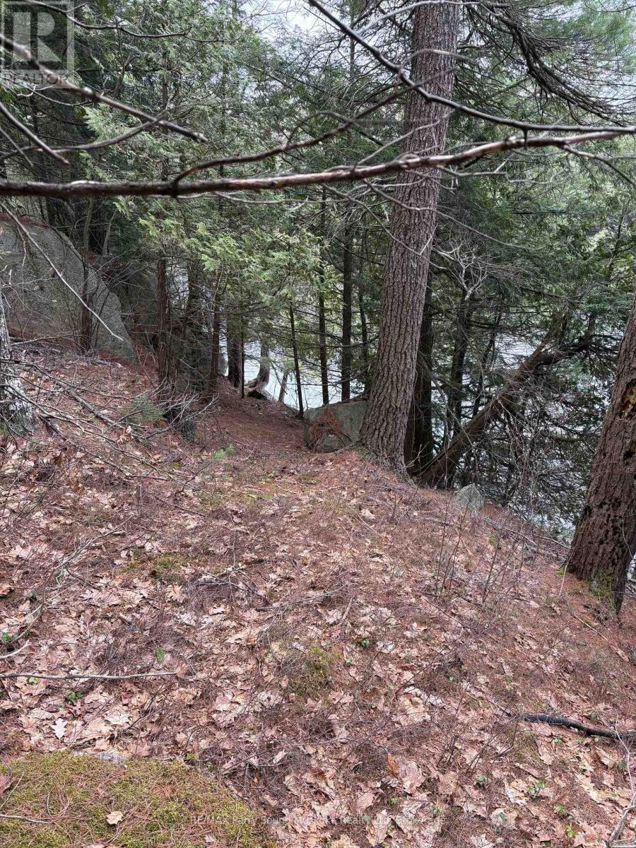 4 Wee Gee Wa Road, Seguin, Ontario  P2A 0E8 - Photo 29 - X13094454