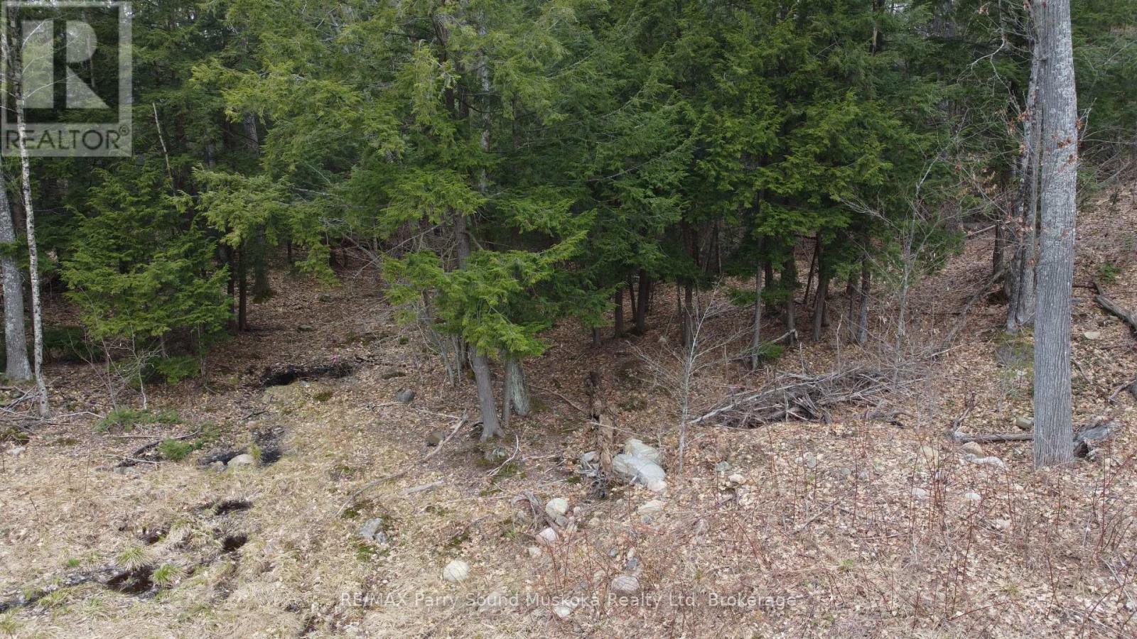4 Wee Gee Wa Road, Seguin, Ontario  P2A 0E8 - Photo 31 - X13094454