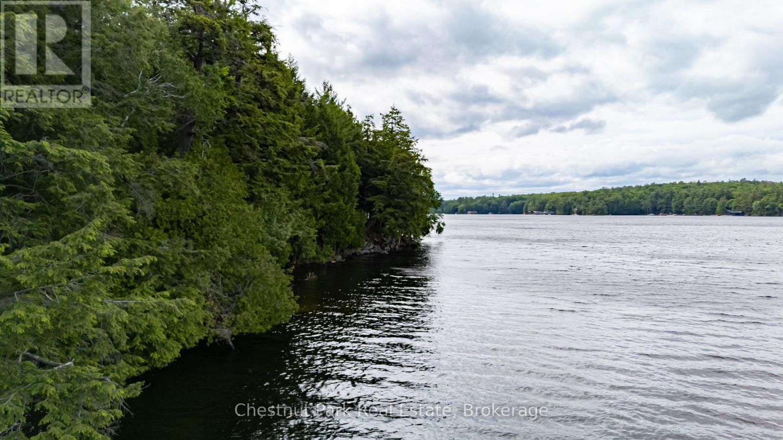 0 Meda Island Lot 1, Muskoka Lakes, Ontario  P0B 1J0 - Photo 3 - X13095046
