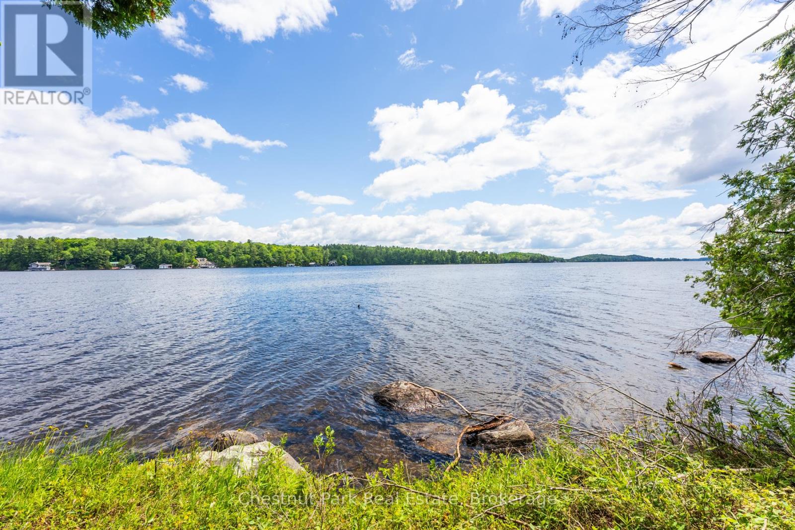 0 Meda Island Lot 6, Muskoka Lakes, Ontario  P0B 1J0 - Photo 11 - X13095052