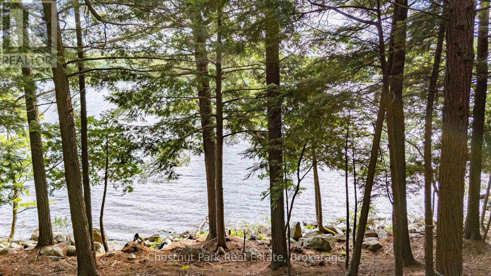 0 Meda Island Lot 5, Muskoka Lakes, Ontario  P0B 1J0 - Photo 4 - X13095056
