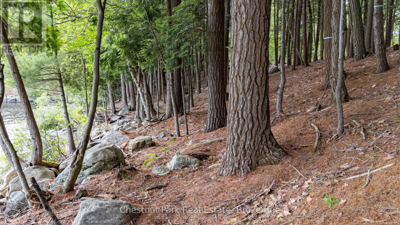 0 Meda Island Lot 5, Muskoka Lakes, Ontario  P0B 1J0 - Photo 5 - X13095056