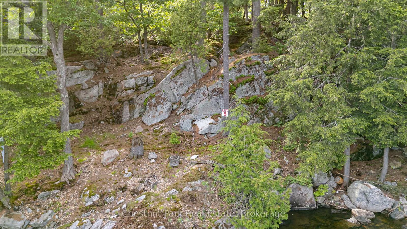 0 Meda Island Lot 5, Muskoka Lakes, Ontario  P0B 1J0 - Photo 6 - X13095056