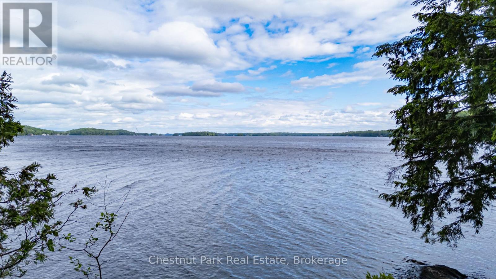 0 Meda Island Lot 5, Muskoka Lakes, Ontario  P0B 1J0 - Photo 8 - X13095056