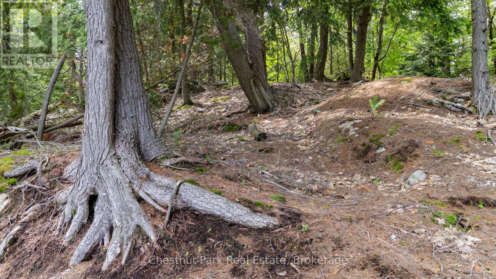 0 Meda Island Lot 4, Muskoka Lakes, Ontario  P0B 1J0 - Photo 3 - X13095058