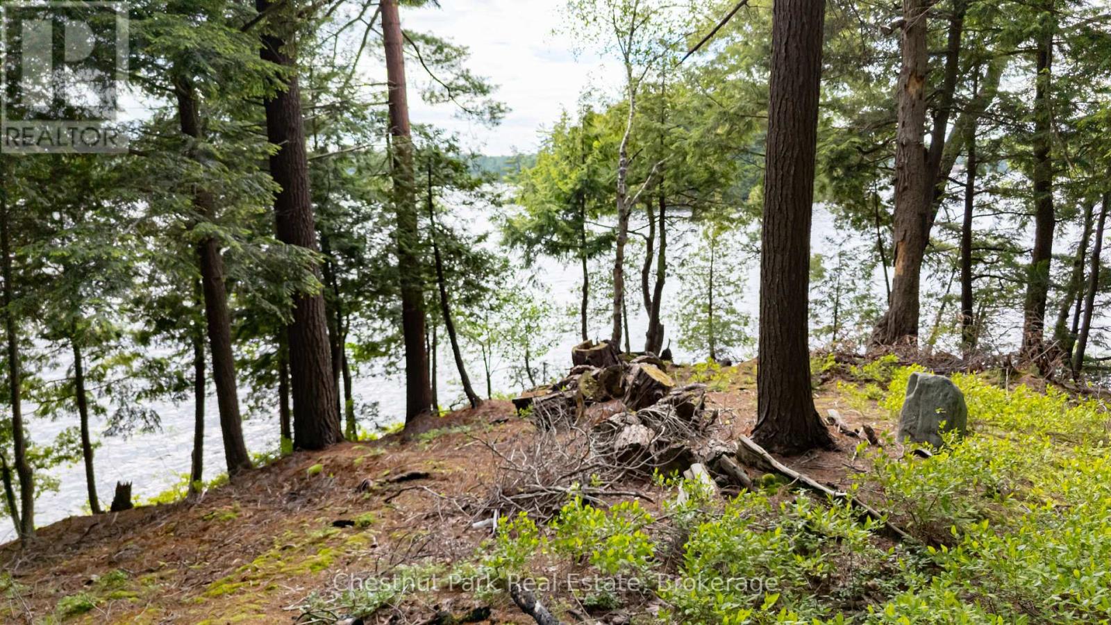 0 Meda Island Lot 3, Muskoka Lakes, Ontario  P0B 1J0 - Photo 3 - X13095062