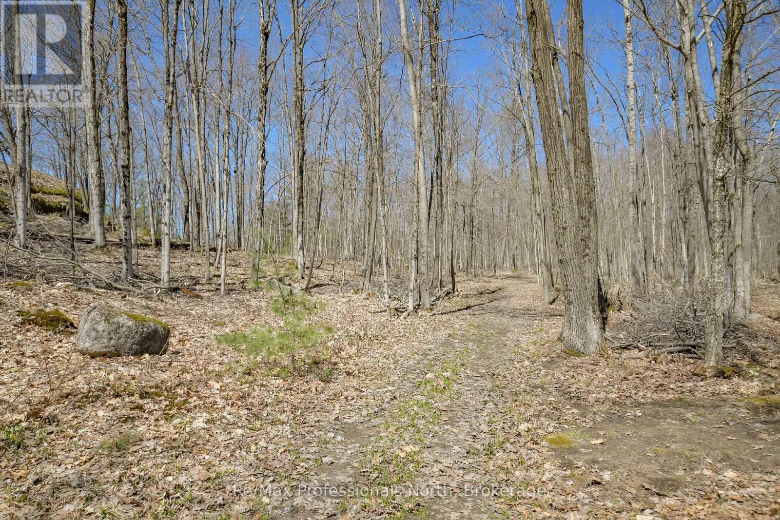 1017 Barlochan Road, Muskoka Lakes, Ontario  P1P 1R2 - Photo 38 - X13095340