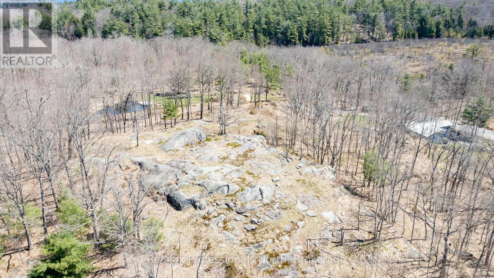 1017 Barlochan Road, Muskoka Lakes, Ontario  P1P 1R2 - Photo 43 - X13095340