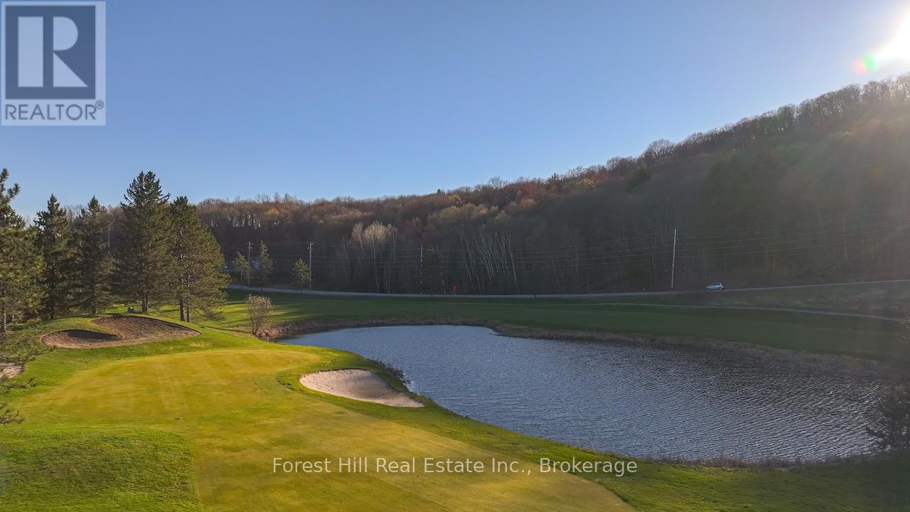 303 - 1235 Deerhurst Drive, Huntsville, Ontario P1H 2E8 - Photo 2 - X13100850