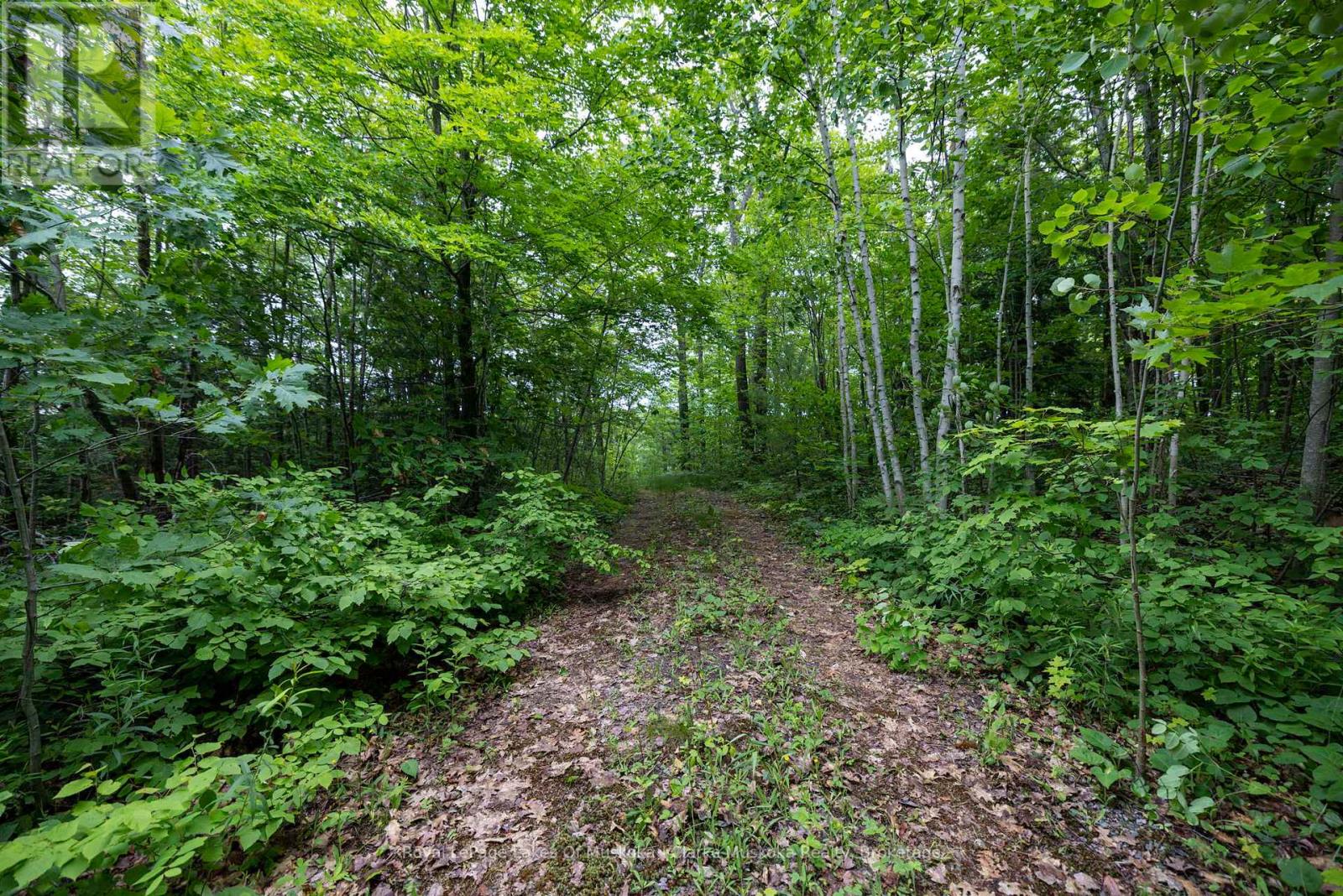 173 612 Highway, Seguin, Ontario  P0C 1H0 - Photo 3 - X13101524
