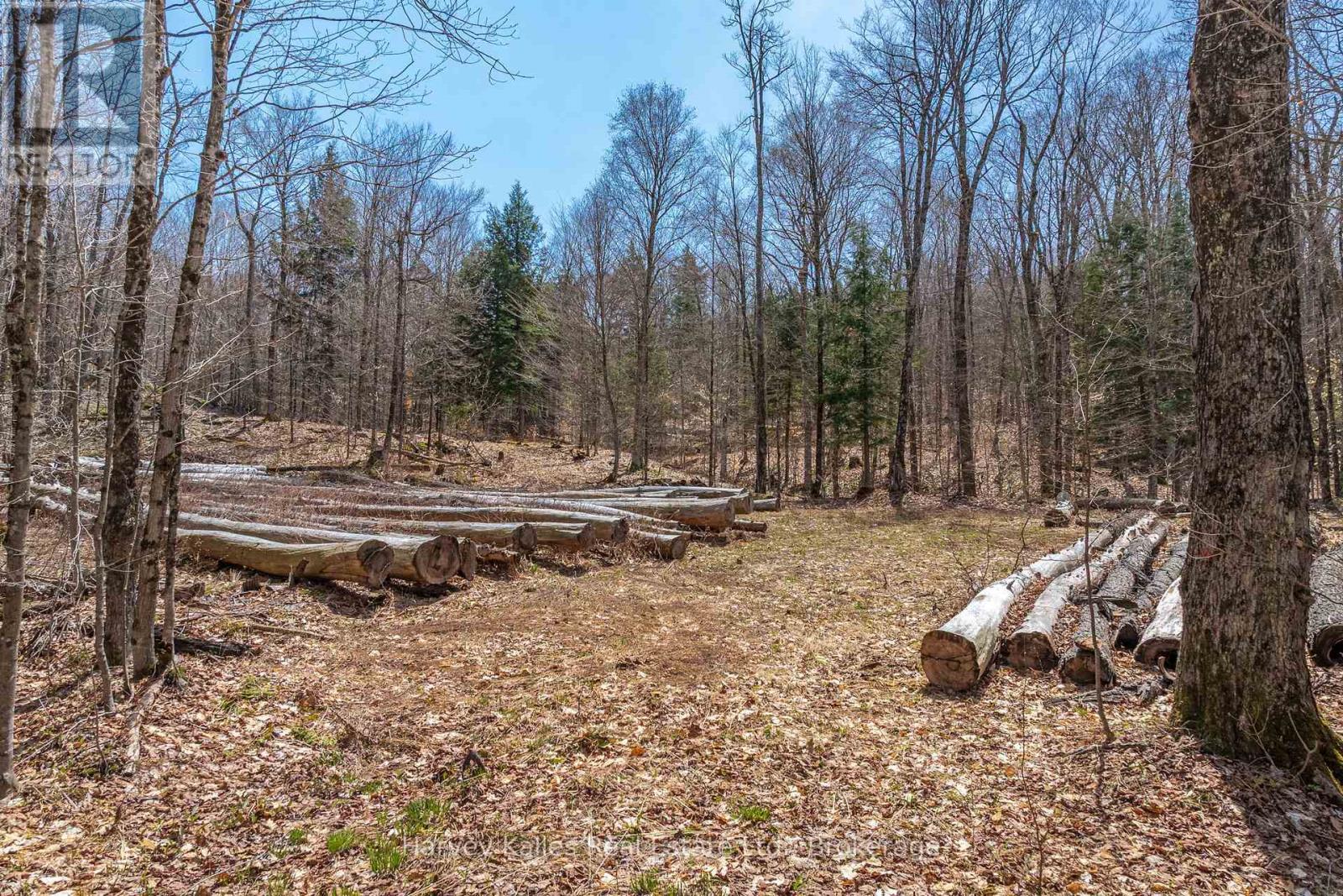 643b Highway 632, Seguin, Ontario  P2A 2W8 - Photo 18 - X13102080