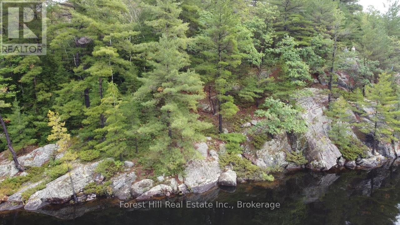 0 Clear Lake Road, Muskoka Lakes, Ontario  P0C 1M0 - Photo 12 - X13104070