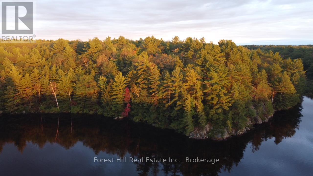 0 Clear Lake Road, Muskoka Lakes, Ontario  P0C 1M0 - Photo 17 - X13104070