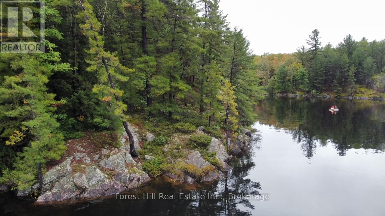 0 Clear Lake Road, Muskoka Lakes, Ontario  P0C 1M0 - Photo 19 - X13104070