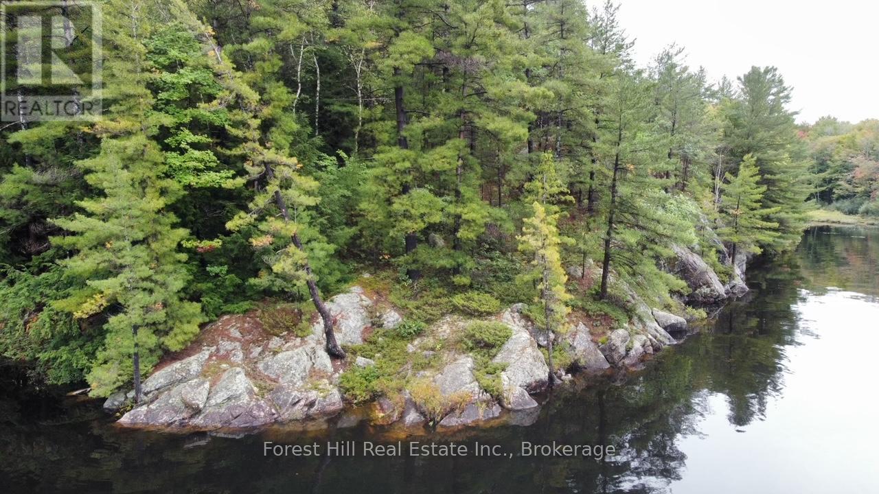 0 Clear Lake Road, Muskoka Lakes, Ontario  P0C 1M0 - Photo 20 - X13104070