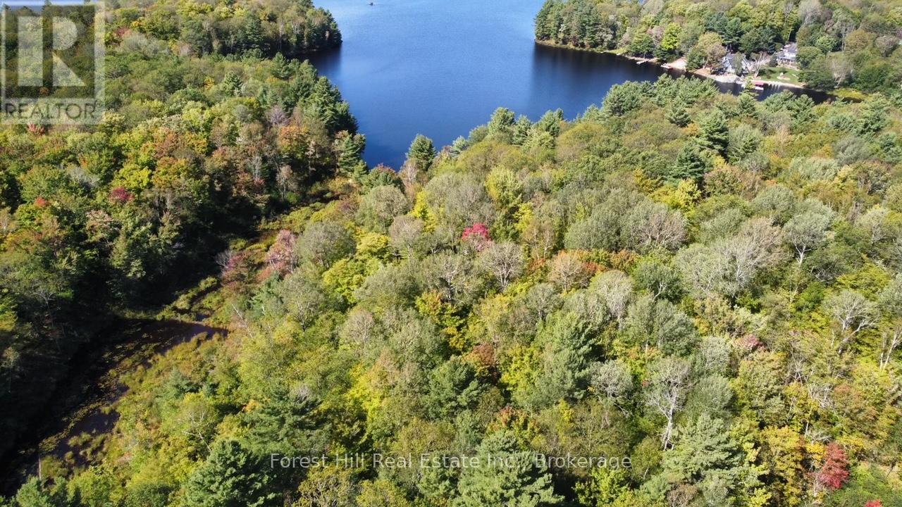 0 Clear Lake Road, Muskoka Lakes, Ontario  P0C 1M0 - Photo 3 - X13104070