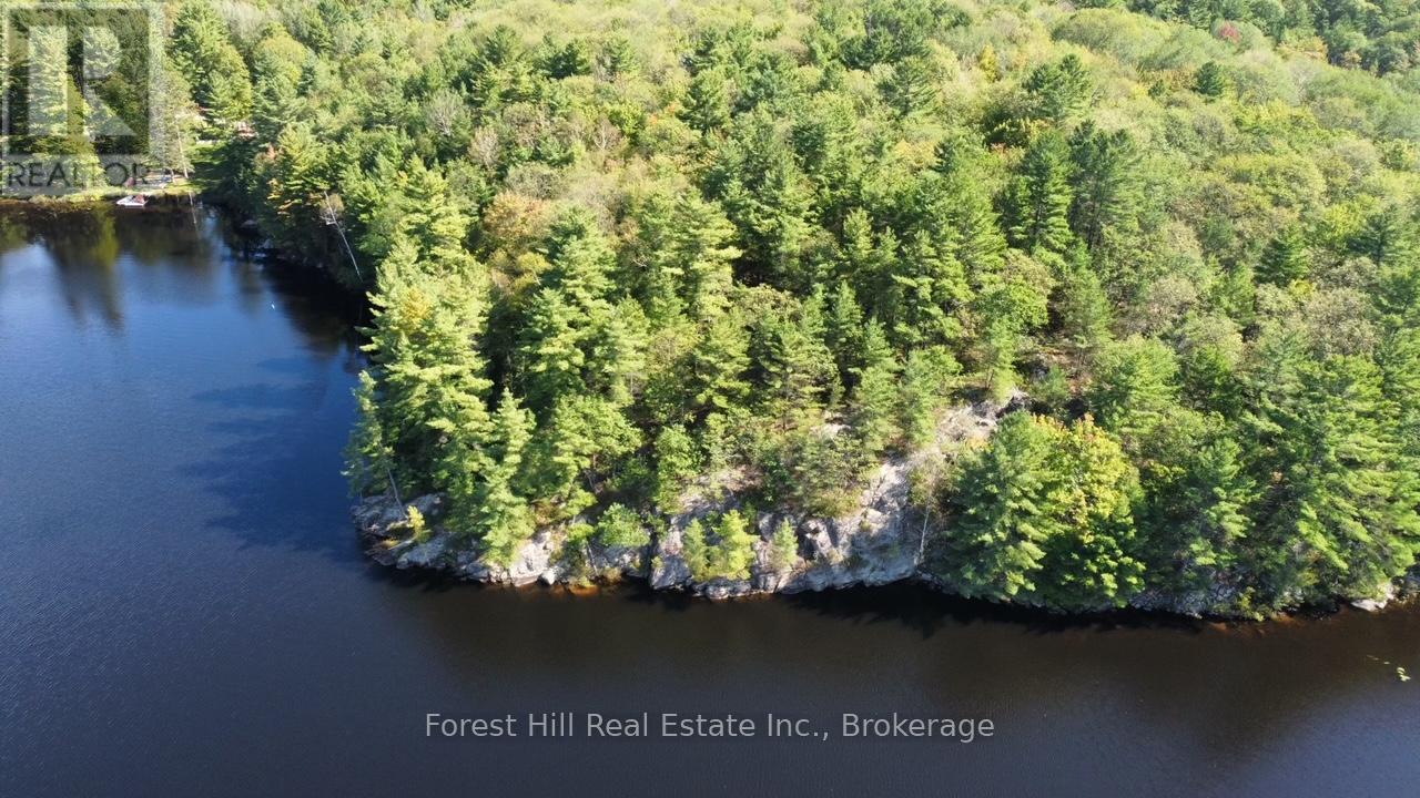 0 Clear Lake Road, Muskoka Lakes, Ontario  P0C 1M0 - Photo 4 - X13104070