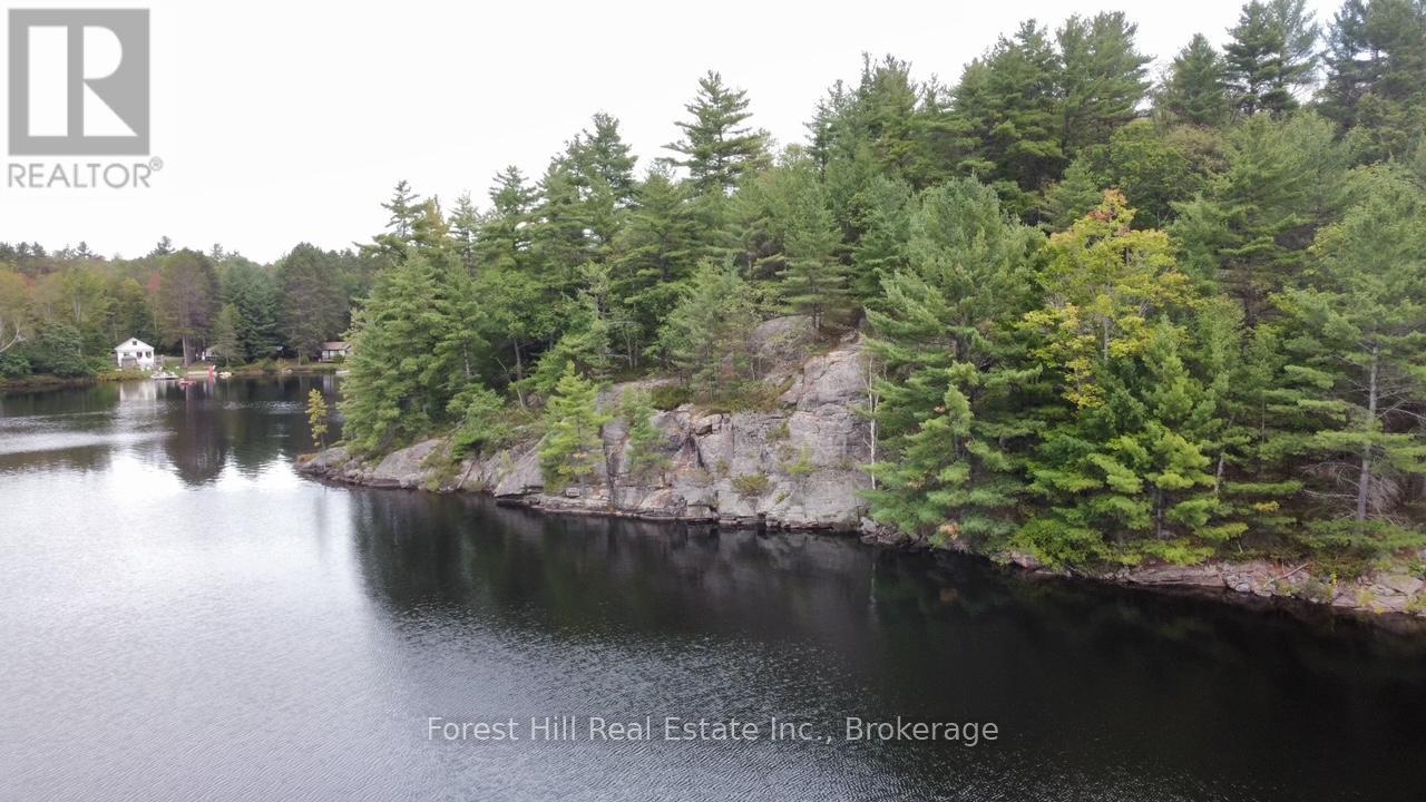 0 Clear Lake Road, Muskoka Lakes, Ontario  P0C 1M0 - Photo 5 - X13104070