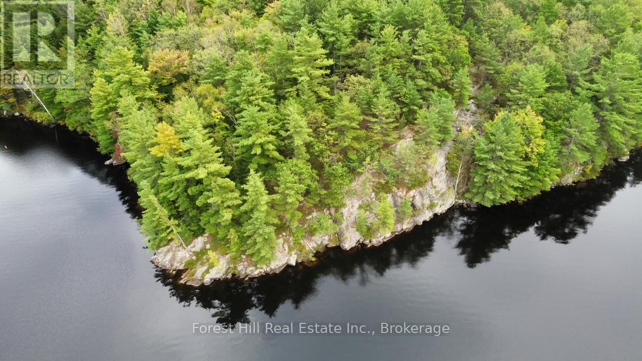 0 Clear Lake Road, Muskoka Lakes, Ontario  P0C 1M0 - Photo 8 - X13104070