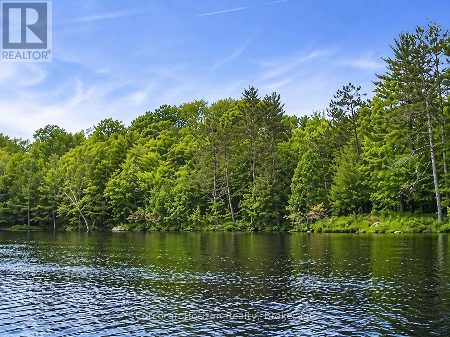 20 Part Lot 13 Concession, Muskoka Lakes, Ontario  P0C 1A0 - Photo 3 - X13105602
