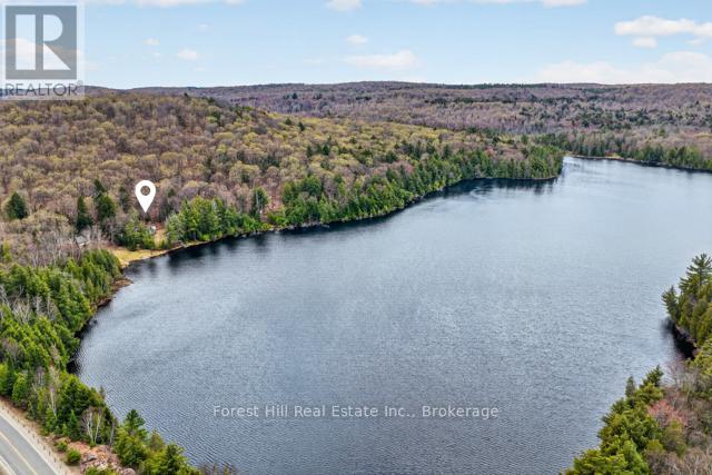 4698 Muskoka Rd 117 Highway, Lake Of Bays, Ontario P0B 1A0 - Photo 2 - X13108074