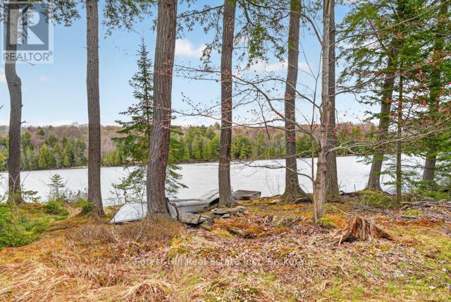 4698 Muskoka Rd 117 Highway, Lake Of Bays, Ontario P0B 1A0 - Photo 30 - X13108074