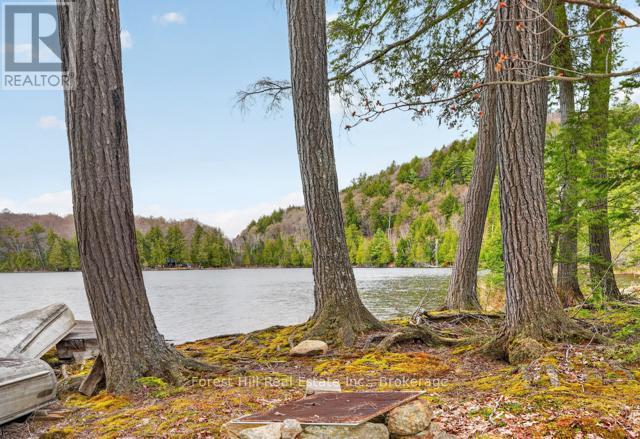 4698 Muskoka Rd 117 Highway, Lake Of Bays, Ontario P0B 1A0 - Photo 31 - X13108074