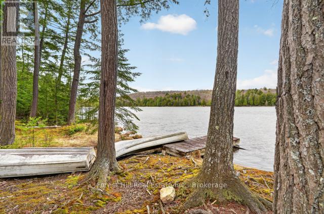 4698 Muskoka Rd 117 Highway, Lake Of Bays, Ontario P0B 1A0 - Photo 32 - X13108074