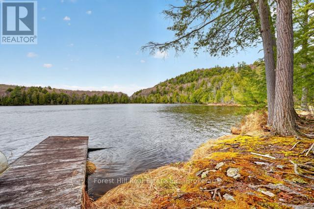 4698 Muskoka Rd 117 Highway, Lake Of Bays, Ontario P0B 1A0 - Photo 34 - X13108074