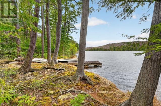 4698 Muskoka Rd 117 Highway, Lake Of Bays, Ontario P0B 1A0 - Photo 35 - X13108074