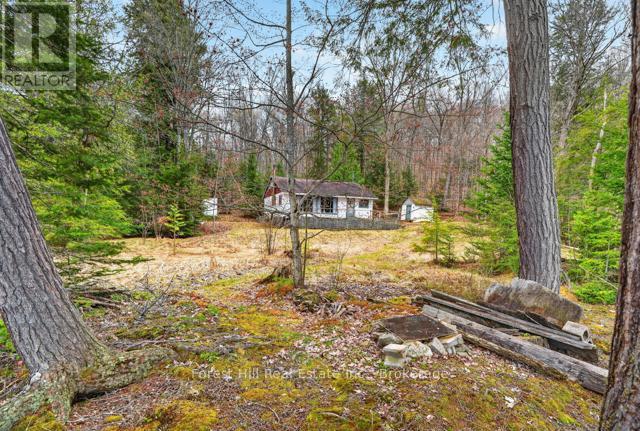 4698 Muskoka Rd 117 Highway, Lake Of Bays, Ontario P0B 1A0 - Photo 36 - X13108074