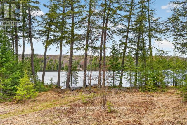 4698 Muskoka Rd 117 Highway, Lake Of Bays, Ontario P0B 1A0 - Photo 37 - X13108074