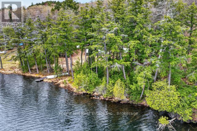 4698 Muskoka Rd 117 Highway, Lake Of Bays, Ontario P0B 1A0 - Photo 40 - X13108074