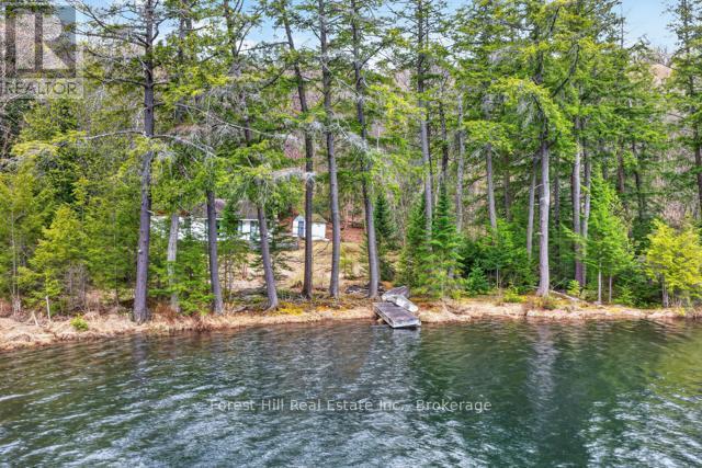 4698 Muskoka Rd 117 Highway, Lake Of Bays, Ontario P0B 1A0 - Photo 41 - X13108074