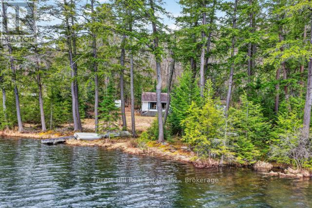 4698 Muskoka Rd 117 Highway, Lake Of Bays, Ontario P0B 1A0 - Photo 42 - X13108074