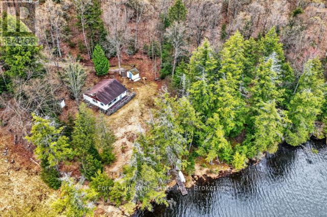 4698 Muskoka Rd 117 Highway, Lake Of Bays, Ontario P0B 1A0 - Photo 43 - X13108074
